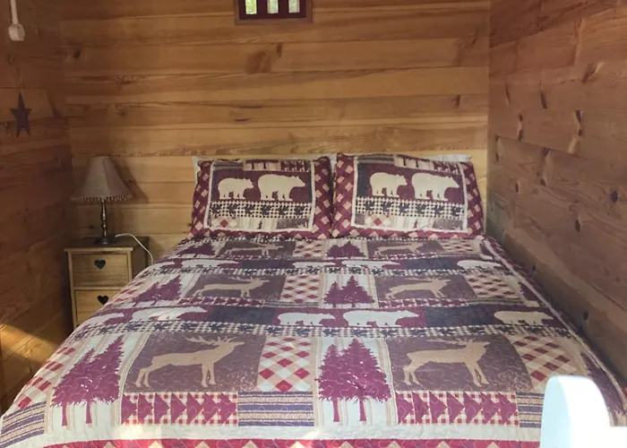 The Cabin